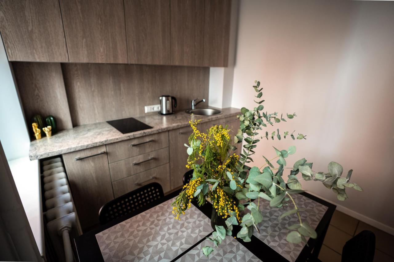 Lovely Apartment In The City Center Kaunas Ngoại thất bức ảnh